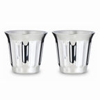 Easyworkz Stainless Steel Espresso Cup 2pcs Set Double Wall Insulated Metal Demitasse Cups 5 fl.oz/ 150 ml, Chrome