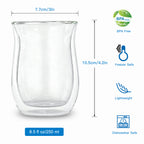 Easyworkz Double Walled Glass Coffee Mugs,Set of 2, Clear Borosilicate Glass Cups for Coffee, Tea, Whiskey, Cocktails