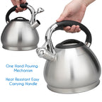 Easyworkz Whistling Stovetop Tea Kettle Food Grade Stainless Steel Hot Water Tea Pot With Loud Whistle, 2.4 qt / 2.3 L