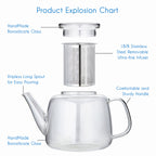 Easyworkz Borosilicate Glass Teapot 50oz / 1500ml with Large Stainless Steel Removable Loose Tea Infuser for Fruit Herbal and Infusion, Clear