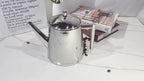 Easyworkz Stainless Steel Teapot with Removeable Infuser Stovetop Tea Maker for Fruit Herbal and Infusion Tea, 50 fl.oz / 1500 ml