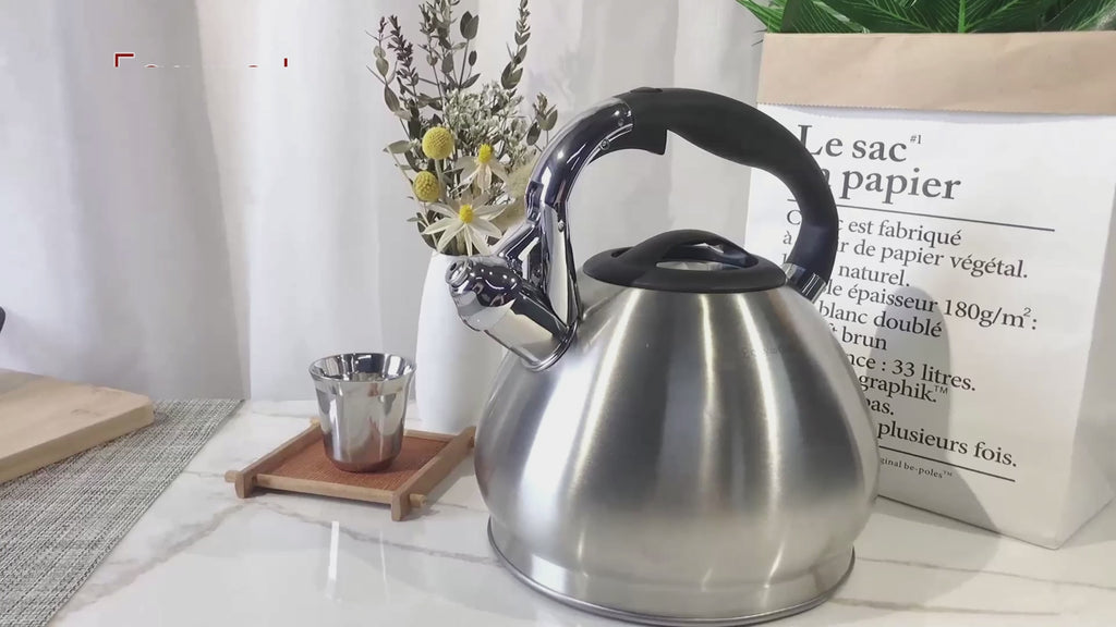 Easyworkz Whistling Stovetop Tea Kettle Food Grade Stainless Steel Hot Water Tea Pot With Loud Whistle